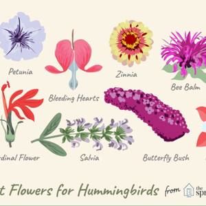 Meet your Posher, Dianne